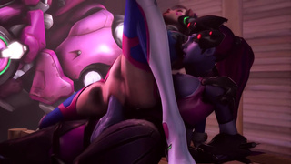 Assignement D.Va