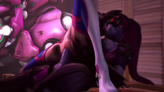 Assignement D.Va